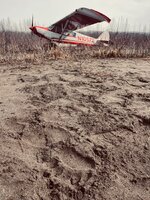 IMG_1391.jpeg