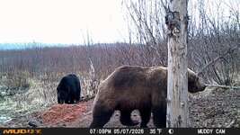 IMG_1395.jpeg
