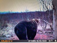 IMG_1385.jpeg