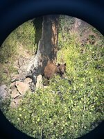 IMG_8195.jpeg