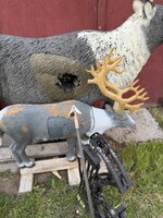IMG_2855.jpeg