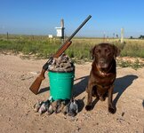 IMG_0811.jpeg