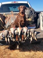 IMG_1813.jpeg
