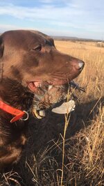IMG_0939.jpeg