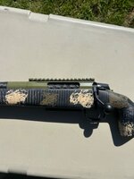 IMG_2333.jpeg