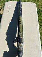 IMG_2334.jpeg