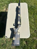 IMG_2331.jpeg