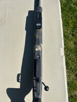 IMG_2332.jpeg