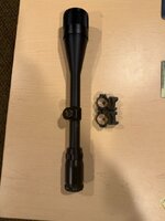 IMG_2337.jpeg
