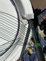 IMG_7951.jpeg