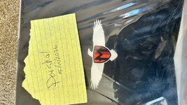 IMG_2506.JPEG
