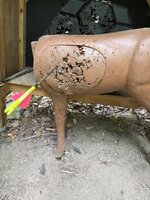 IMG_8337.jpeg