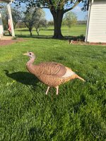 IMG_5412.jpeg