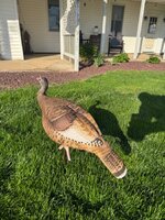 IMG_5413.jpeg
