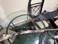 IMG_9437.jpeg