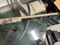 IMG_9439.jpeg