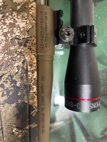 IMG_9441.jpeg