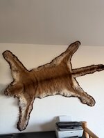 IMG_2148.jpeg