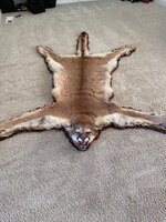 IMG_2149.jpeg
