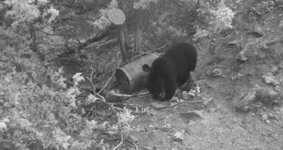 IMG_4842.jpeg