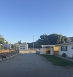 IMG_3429.jpeg