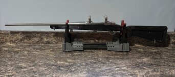 IMG_4728.jpeg