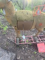 IMG_8424.jpeg