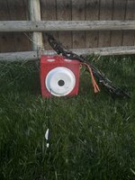 IMG_0752.jpeg