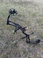 IMG_2396.jpeg