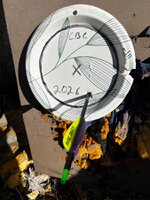 IMG_7954.jpeg