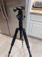 IMG_7081.jpeg