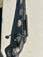 IMG_2342.jpeg