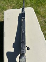 IMG_2343.jpeg