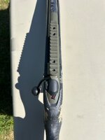 IMG_2341.jpeg