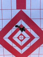 IMG_2339.jpeg