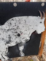 IMG_3706.jpeg