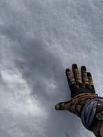 IMG_3046.jpeg