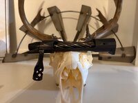 IMG_5254.jpeg