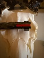 IMG_5257.jpeg