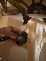 IMG_5258.jpeg