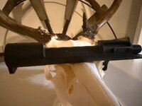 IMG_5263.jpeg