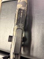 IMG_2291.jpeg
