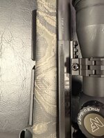 IMG_2294.jpeg