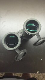 IMG_2097.jpeg
