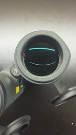 IMG_2098.jpeg