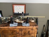 Ruger.jpg