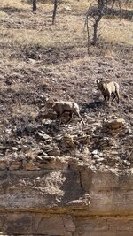IMG_0449.jpeg