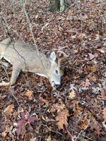 IMG_6995.jpeg