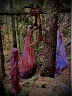 IMG_1492.jpeg