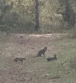 IMG_4836.jpeg